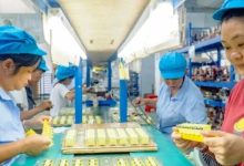 為鄉(xiāng)村振興注入產(chǎn)業(yè)活力 岑溪市“五環(huán)緊扣”就業(yè)幫扶模式助推產(chǎn)業(yè)發(fā)展民生改善-岑溪生活—站式岑溪本地生活服務平臺 m.liuxuelu.cn