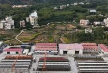 柳梧鐵路站前6標項目建設提速，力爭年內完成全部架梁任務-岑溪生活—站式岑溪本地生活服務平臺 m.liuxuelu.cn