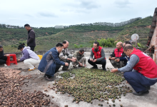 手把手教學！岑溪這群科技特派員太給力啦！-岑溪生活—站式岑溪本地生活服務(wù)平臺 m.liuxuelu.cn