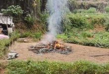 岑溪有人在禁燒區(qū)焚燒雜物，有關(guān)部門回應(yīng)...-岑溪生活—站式岑溪本地生活服務(wù)平臺 m.liuxuelu.cn