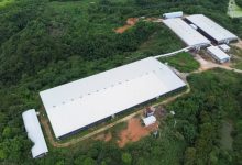 產(chǎn)業(yè)興村富民生 煙火深處幸福濃丨岑溪市以三大特色產(chǎn)業(yè)為抓手激活鄉(xiāng)村發(fā)展新動能-岑溪生活—站式岑溪本地生活服務(wù)平臺 m.liuxuelu.cn