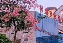 梧州市圖書館2025年12月份系列活動(dòng)預(yù)告-岑溪生活—站式岑溪本地生活服務(wù)平臺(tái) m.liuxuelu.cn