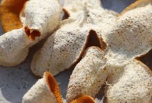 天平鎮(zhèn):盤(pán)活村集體資產(chǎn) 發(fā)展陳皮柑產(chǎn)業(yè) 助農(nóng)增收-岑溪生活—站式岑溪本地生活服務(wù)平臺(tái) m.liuxuelu.cn