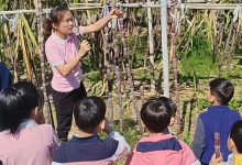 “蔗”里有甜更有樂(lè)！岑溪市第一幼兒園開(kāi)啟自然教育新體驗(yàn)-岑溪生活—站式岑溪本地生活服務(wù)平臺(tái) m.liuxuelu.cn