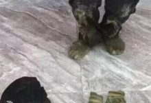 梧州一男子竟然男扮女裝，偷路邊電箱...捉！-岑溪生活—站式岑溪本地生活服務(wù)平臺(tái) m.liuxuelu.cn