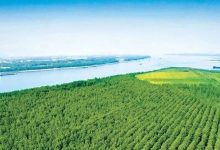 廣西首批“生物多樣性+林業(yè)”金融產(chǎn)品落地梧州-岑溪生活—站式岑溪本地生活服務(wù)平臺 m.liuxuelu.cn