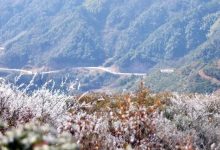 岑溪新一股冷空氣來了！明起開啟降溫模式，局地降幅可達(dá)8℃以上-岑溪生活—站式岑溪本地生活服務(wù)平臺(tái) m.liuxuelu.cn