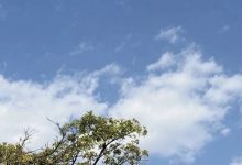 岑溪“晴”歌單曲循環(huán)，暖意持續(xù)！-岑溪生活—站式岑溪本地生活服務平臺 m.liuxuelu.cn