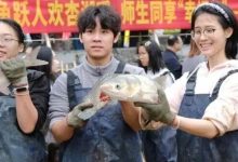 8000斤魚免費吃！廣西這所大學(xué)又開始“摸魚”-岑溪生活—站式岑溪本地生活服務(wù)平臺 m.liuxuelu.cn