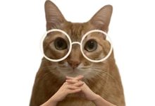 岑溪再暖兩天，較強(qiáng)冷空氣來跨年，元旦假期最低氣溫將降至3-5℃！還有雨水......-岑溪生活—站式岑溪本地生活服務(wù)平臺 m.liuxuelu.cn