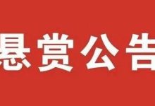 梧州市龍圩區(qū)人民法院執(zhí)行懸賞公告（2025年第十三期）-岑溪生活—站式岑溪本地生活服務平臺 m.liuxuelu.cn