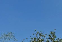 冷空氣消息又來啦！周末最低氣溫將降至4-7℃-岑溪生活—站式岑溪本地生活服務平臺 m.liuxuelu.cn