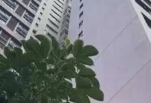 高層發(fā)生火災如何逃生？梧州消防來支招→-岑溪生活—站式岑溪本地生活服務平臺 m.liuxuelu.cn