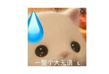 短袖登場？未來兩天局部最高氣溫竟達……-岑溪生活—站式岑溪本地生活服務平臺 m.liuxuelu.cn