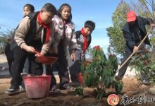 3650天！岑溪一位86歲老人將荒山改造成公園-岑溪生活—站式岑溪本地生活服務(wù)平臺(tái) m.liuxuelu.cn