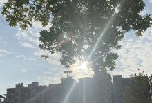 暖、暖、暖！未來兩天我市暖意拉滿，最高有24-26℃-岑溪生活—站式岑溪本地生活服務(wù)平臺 m.liuxuelu.cn