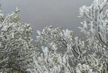 寒潮來襲 藤縣大黎鎮(zhèn)出現(xiàn)絕美冰凌霧凇景觀-岑溪生活—站式岑溪本地生活服務(wù)平臺(tái) m.liuxuelu.cn