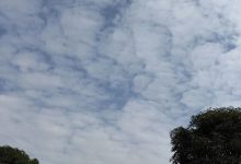 未來一周氣溫起伏變化大，冷空氣、大霧和回南潮濕天氣輪番登場~-岑溪生活—站式岑溪本地生活服務(wù)平臺 m.liuxuelu.cn