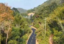 岑溪這些道路即將升級→-岑溪生活—站式岑溪本地生活服務(wù)平臺 m.liuxuelu.cn