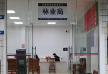 岑溪林業(yè)行政審批“一窗辦結”今日啟用！辦事不用多跑路，便民服務暖人心-岑溪生活—站式岑溪本地生活服務平臺 m.liuxuelu.cn