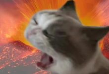 短袖→羽絨，強(qiáng)冷空氣腳步已近，我市兩地發(fā)布寒潮預(yù)警信號，明天出門要多帶件衣服~-岑溪生活—站式岑溪本地生活服務(wù)平臺 m.liuxuelu.cn