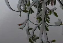 “凍感”十足！好消息是，明天起氣溫逐步回升～-岑溪生活—站式岑溪本地生活服務(wù)平臺(tái) m.liuxuelu.cn