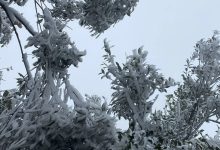 岑溪驚現(xiàn)冰掛奇觀，怎一個(gè)美字了得！-岑溪生活—站式岑溪本地生活服務(wù)平臺(tái) m.liuxuelu.cn