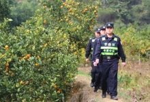 “果實(shí)沉甸甸，心里甜滋滋！”——岑溪市公安機(jī)關(guān)“護(hù)農(nóng)警務(wù)”為地方特色產(chǎn)業(yè)發(fā)展注入平安動(dòng)能-岑溪生活—站式岑溪本地生活服務(wù)平臺(tái) m.liuxuelu.cn