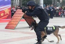 2026年廣西公務(wù)員招錄！岑溪公安歡迎您的加入→-岑溪生活—站式岑溪本地生活服務(wù)平臺 m.liuxuelu.cn