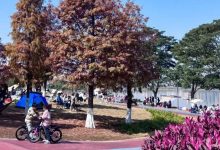 又冷又熱，早晚溫差可達(dá)15℃，未來(lái)兩天梧州持續(xù)晴燥模式→-岑溪生活—站式岑溪本地生活服務(wù)平臺(tái) m.liuxuelu.cn