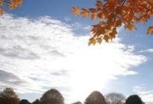 未來兩天，天氣晝暖夜寒，晴燥維持~-岑溪生活—站式岑溪本地生活服務(wù)平臺 m.liuxuelu.cn