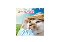 再暖1天！明晚氣溫開始“跳水”，最低氣溫將達……-岑溪生活—站式岑溪本地生活服務平臺 m.liuxuelu.cn