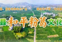 【活動(dòng)預(yù)告】“葛王”爭(zhēng)霸、美食狂歡！第二屆藤縣和平粉葛文化節(jié)要來(lái)啦！-岑溪生活—站式岑溪本地生活服務(wù)平臺(tái) m.liuxuelu.cn