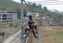 岑溪供電公司：線路升級強(qiáng)賦能  電力護(hù)航特色產(chǎn)業(yè)提質(zhì)增效-岑溪生活—站式岑溪本地生活服務(wù)平臺 m.liuxuelu.cn