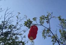 收假在即，陰雨范圍擴大，返程需注意天氣變化~-岑溪生活—站式岑溪本地生活服務平臺 m.liuxuelu.cn