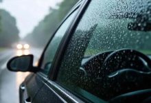 馬年首場強(qiáng)對(duì)流天氣來襲！未來兩天局部有明顯降雨，外出注意交通安全~-岑溪生活—站式岑溪本地生活服務(wù)平臺(tái) m.liuxuelu.cn