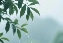 晴好天氣余額不足，25日開(kāi)始全市將轉(zhuǎn)陰雨天氣，明顯降雨出現(xiàn)在......-岑溪生活—站式岑溪本地生活服務(wù)平臺(tái) m.liuxuelu.cn