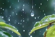 未來(lái)兩天雨水駐足，局地有強(qiáng)降雨和強(qiáng)對(duì)流天氣，注意防御！-岑溪生活—站式岑溪本地生活服務(wù)平臺(tái) m.liuxuelu.cn