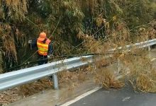 春節(jié)我在崗丨以堅守赴使命 用實干暖民心-岑溪生活—站式岑溪本地生活服務(wù)平臺 m.liuxuelu.cn