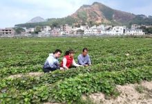 岑溪這波操作讓冬閑地“忙”起來了！-岑溪生活—站式岑溪本地生活服務(wù)平臺 m.liuxuelu.cn