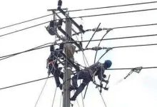 岑溪供電公司：線路升級消缺隱患 護航春節(jié)可靠用電-岑溪生活—站式岑溪本地生活服務平臺 m.liuxuelu.cn