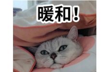 未來兩天維持溫暖和煦的天氣， 適宜年前洗曬～-岑溪生活—站式岑溪本地生活服務(wù)平臺 m.liuxuelu.cn