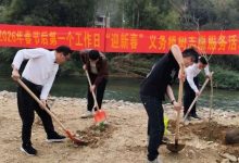 迎新春·添新綠！三堡鎮(zhèn)開展2026年春節(jié)后第一個工作日“迎新春”義務植樹志愿服務活動-岑溪生活—站式岑溪本地生活服務平臺 m.liuxuelu.cn