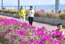 梧州氣溫將持續(xù)回升，過(guò)年怎么穿衣？春節(jié)天氣“劇透”→-岑溪生活—站式岑溪本地生活服務(wù)平臺(tái) m.liuxuelu.cn