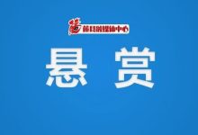 藤縣羅子全、黃錦麗、黎菲等10人被執(zhí)行懸賞-岑溪生活—站式岑溪本地生活服務平臺 m.liuxuelu.cn