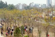 春回大地萬物蘇 植綠添綠正當時丨春節(jié)假期后首個工作日我市開展植樹活動 趙春雷吳偉華歐杰韋學文等參加-岑溪生活—站式岑溪本地生活服務平臺 m.liuxuelu.cn