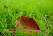 陰雨天氣持續(xù)在線，需防范強對流天氣~-岑溪生活—站式岑溪本地生活服務(wù)平臺 m.liuxuelu.cn