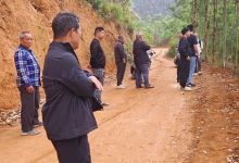 三堡紅賦能跨區(qū)聯(lián)調(diào)  五載山林積案一朝化解-岑溪生活—站式岑溪本地生活服務(wù)平臺 m.liuxuelu.cn