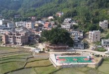 千年古樹！古凍村的“鄉(xiāng)愁地標(biāo)”-岑溪生活—站式岑溪本地生活服務(wù)平臺(tái) m.liuxuelu.cn