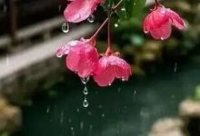 冷空氣威力還在，明天持續(xù)陰冷有雨天氣，何時(shí)轉(zhuǎn)晴回暖？-岑溪生活—站式岑溪本地生活服務(wù)平臺 m.liuxuelu.cn